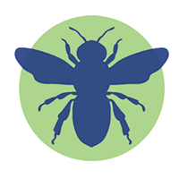 eliminacion de abejas