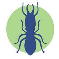 eliminacion de comején