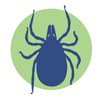 exterminacion de insectos de grama