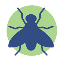 exterminacion de cucarachas