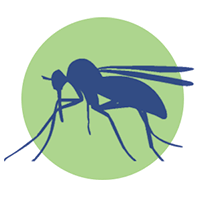 fumigacion de mosquitos