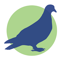 eliminacion de palomas