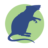 Exterminacion de roedores