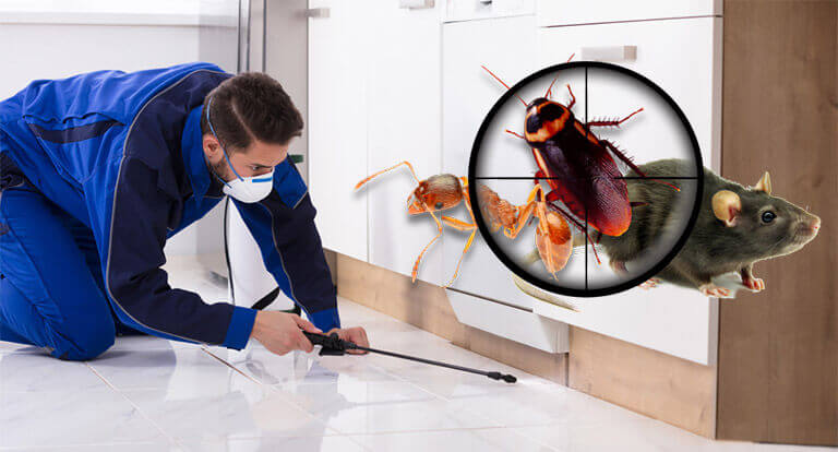 Fumigación residencial